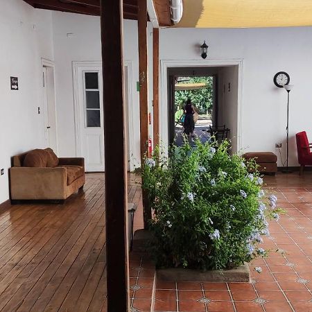 Scorpius Hostel Vicuña Dış mekan fotoğraf