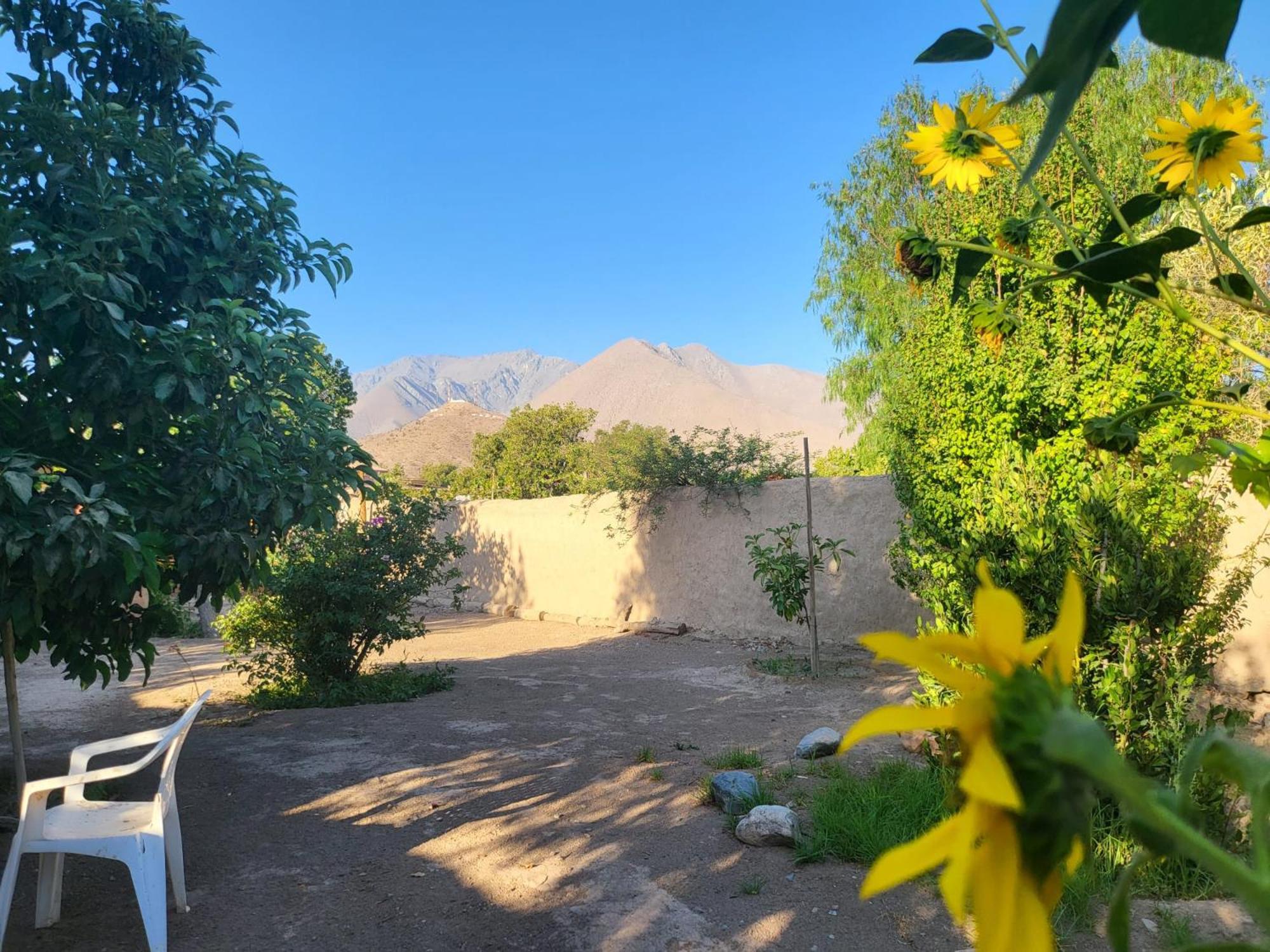Scorpius Hostel Vicuña Dış mekan fotoğraf