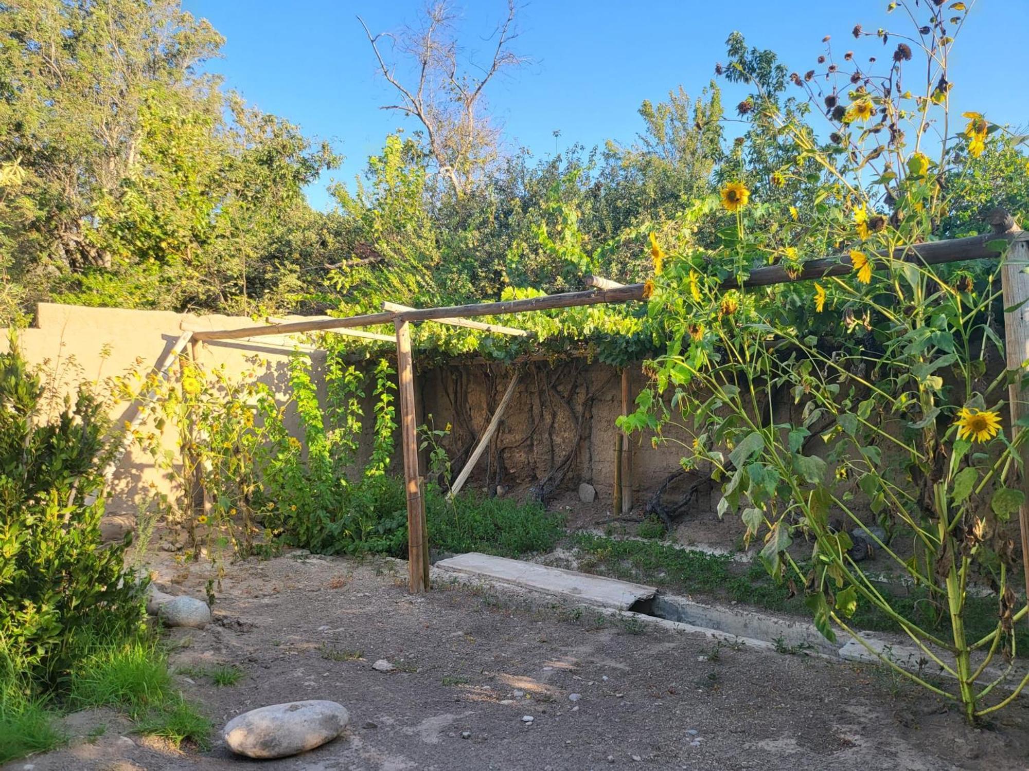 Scorpius Hostel Vicuña Dış mekan fotoğraf