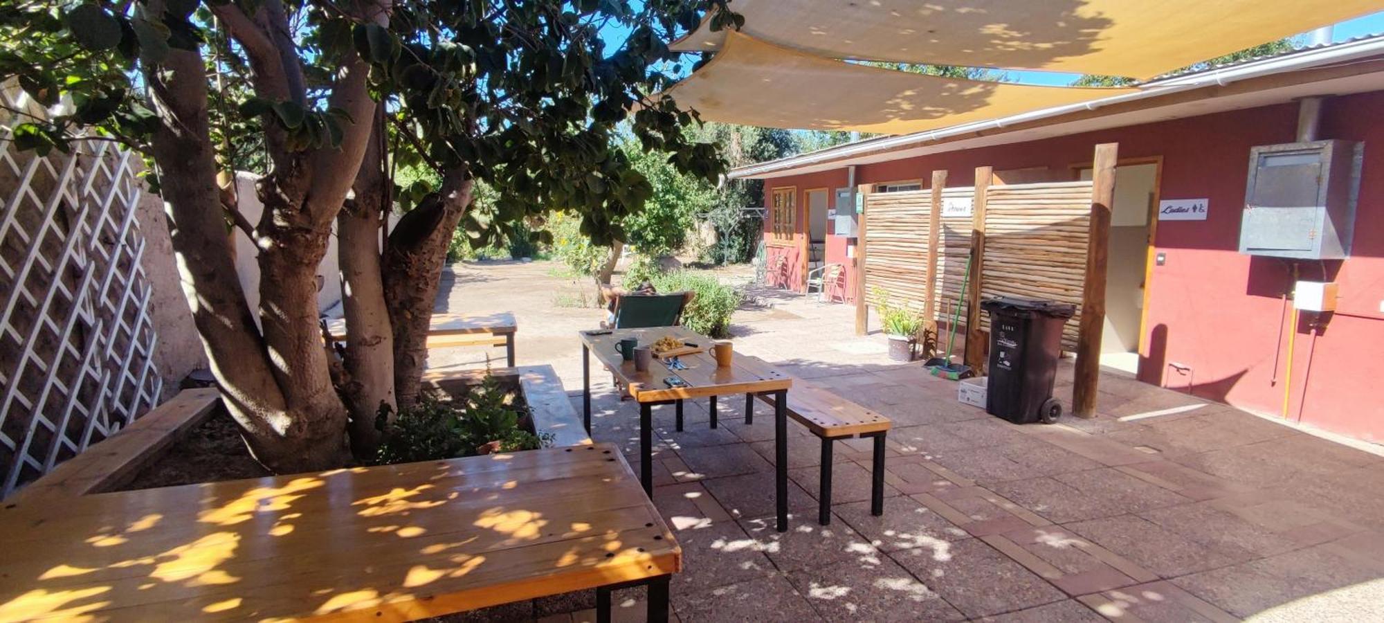 Scorpius Hostel Vicuña Dış mekan fotoğraf