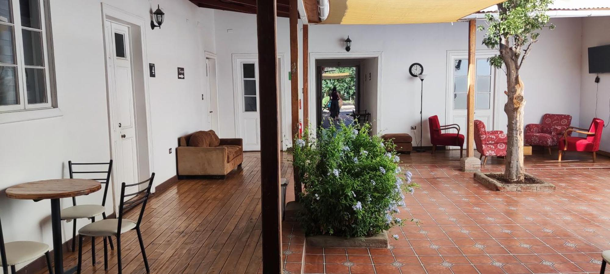 Scorpius Hostel Vicuña Dış mekan fotoğraf